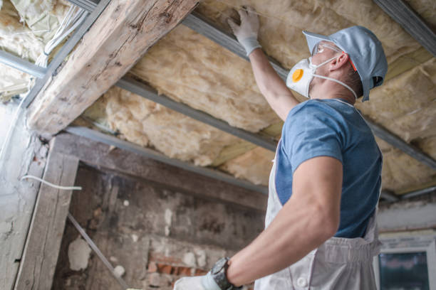 Types of Insulation We Offer in Fremont, CA